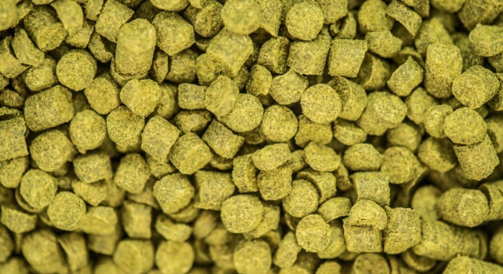 Close-up view of numerous green, pellet-shaped objects tightly packed together.